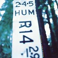 Hum : Comin' Home